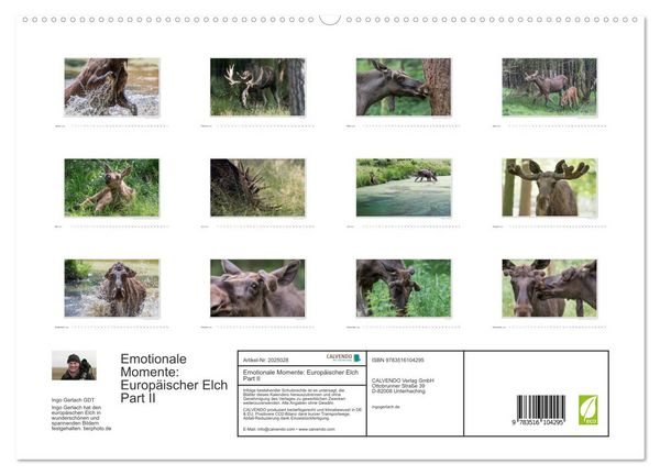Produktbild: Emotionale Momente: Europ&auml;ischer Elch Part II (hochwertiger Premium Wandkalender 2026 DIN A2 quer), Kunstdruck in Hochglanz