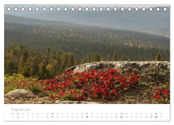 Produktbild: Heimat der Samen (Tischkalender 2026 DIN A5 quer), CALVENDO Monatskalender