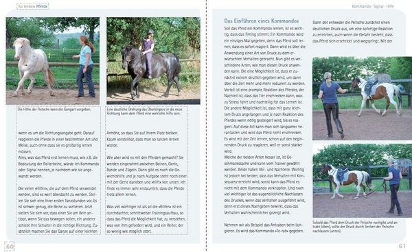 Produktbild: So lernen Pferde