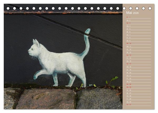 Produktbild: Flensburger Katzen (Tischkalender 2026 DIN A5 quer), CALVENDO Monatskalender