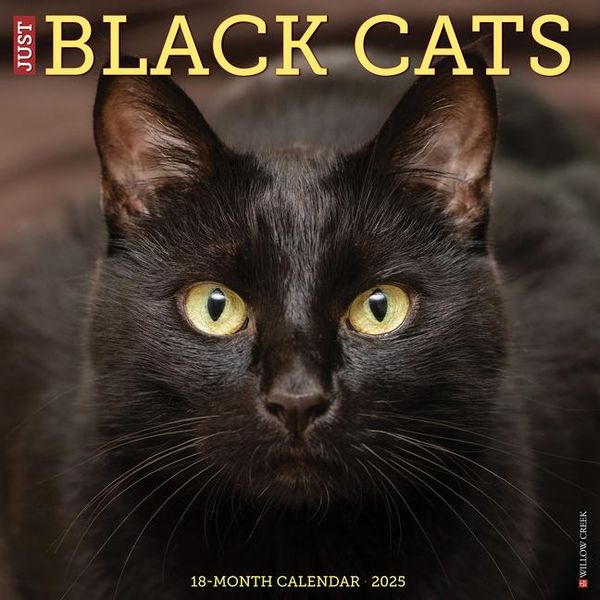 Produktbild: Willow Creek Press: Just Black Cats 2025 12 X 12 Wall Calend