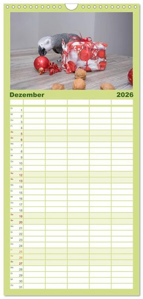 Produktbild: Familienplaner 2026 - Graupapageien zum Verlieben mit 5 Spalten (Wandkalender, 21 x 45 cm) CALVENDO