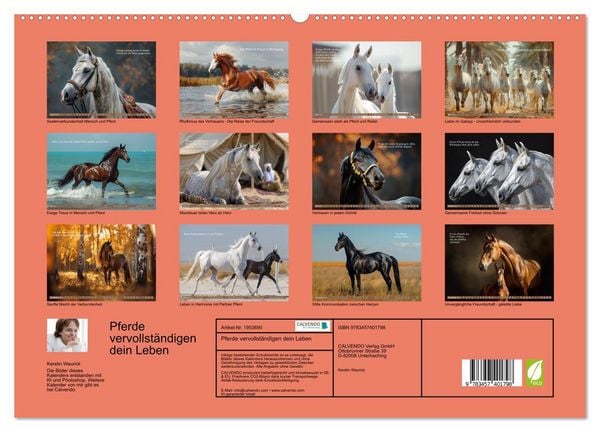 Produktbild: Pferde vervollst&auml;ndigen dein Leben (hochwertiger Premium Wandkalender 2026 DIN A2 quer), Kunstdruck in Hochglanz