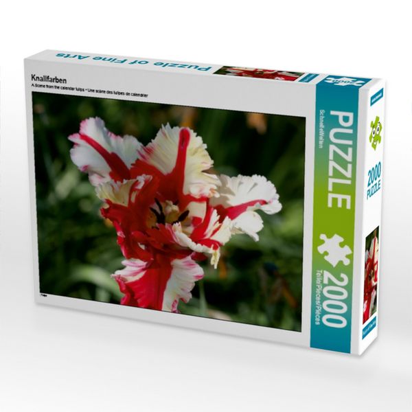 Knallfarben (Puzzle)