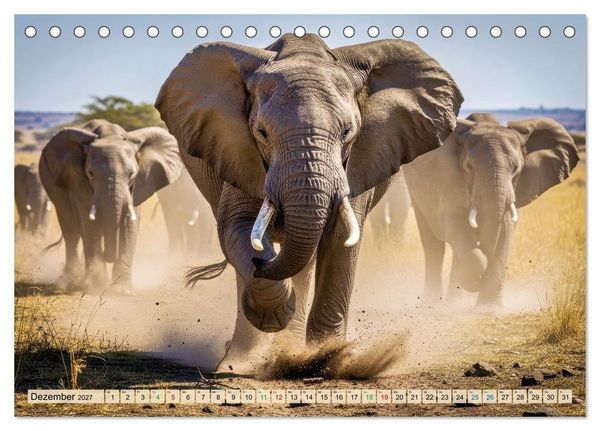 Produktbild: Gro&szlig;e und kleine Elefanten (Tischkalender 2027 DIN A5 quer), CALVENDO Monatskalender