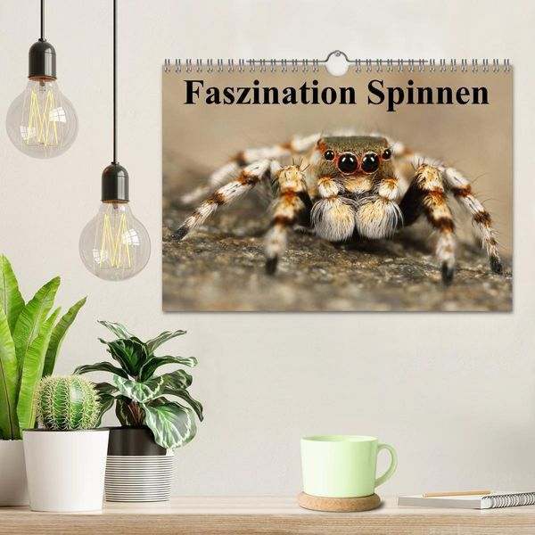 Produktbild: Faszination Spinnen (Wandkalender 2026 DIN A4 quer), CALVENDO Monatskalender