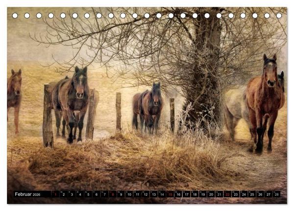 Produktbild: Western und Pferde (Tischkalender 2026 DIN A5 quer), CALVENDO Monatskalender