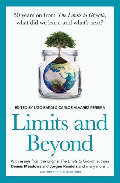 Produktbild: Limits and Beyond