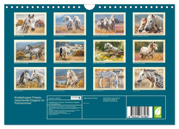 Produktbild: Knabstrupper Poesie. Gescheckte Eleganz im Farmsommer (Wandkalender 2027 DIN A4 quer), CALVENDO Monatskalender