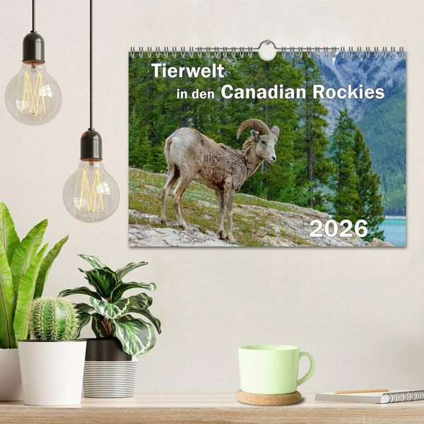 Produktbild: Tierwelt in den Canadian Rockies (Wandkalender 2026 DIN A4 quer), CALVENDO Monatskalender