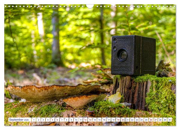 Produktbild: Alte Fotoapparate, Augenzeugen der Zeit (Wandkalender 2026 DIN A3 quer), CALVENDO Monatskalender