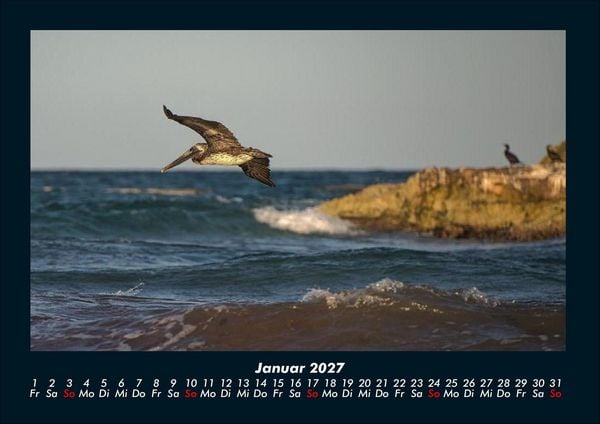 Produktbild: Welt der V&ouml;gel 2027 Fotokalender DIN A4