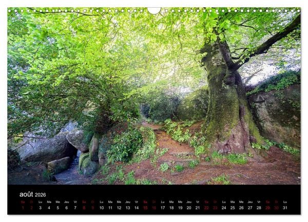 Produktbild: Lumi&egrave;res de Broc&eacute;liande (Calendrier mural 2026 DIN A3 vertical), CALVENDO calendrier mensuel