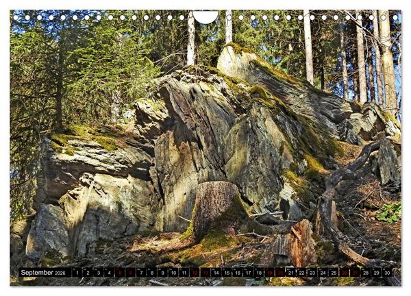 Produktbild: Naturwunder Wald (Wandkalender 2026 DIN A4 quer), CALVENDO Monatskalender