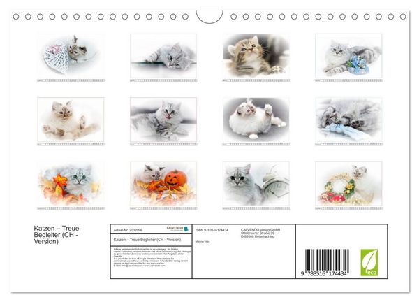 Produktbild: Katzen &ndash; Treue Begleiter (CH - Version) (Wandkalender 2026 DIN A4 quer), CALVENDO Monatskalender
