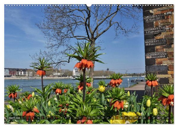 Produktbild: Koblenz Die Stadt am Deutschen Eck (Wandkalender 2026 DIN A2 quer), CALVENDO Monatskalender