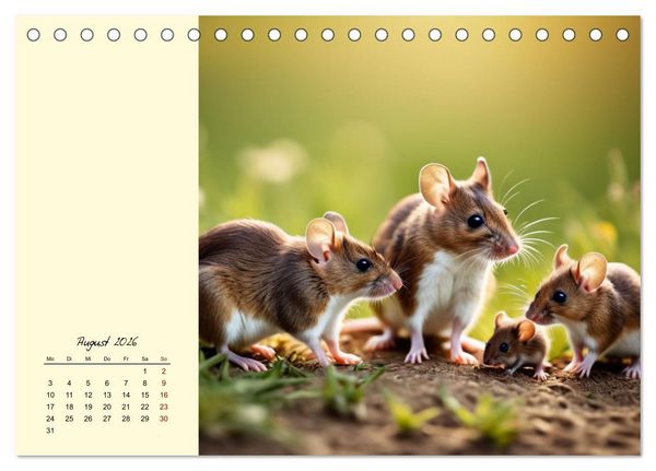 Produktbild: Goldige M&auml;use im Gr&uuml;nen (Tischkalender 2026 DIN A5 quer), CALVENDO Monatskalender