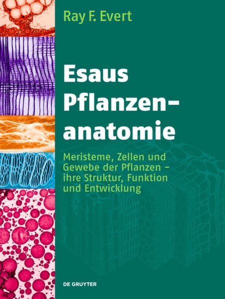 Produktbild: Esaus Pflanzenanatomie