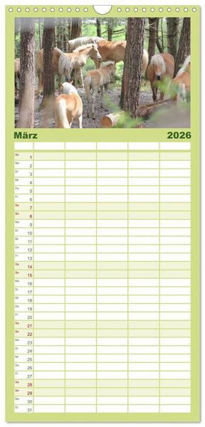 Produktbild: Familienplaner 2026 - Alpenpferde mit 5 Spalten (Wandkalender, 21 x 45 cm) CALVENDO