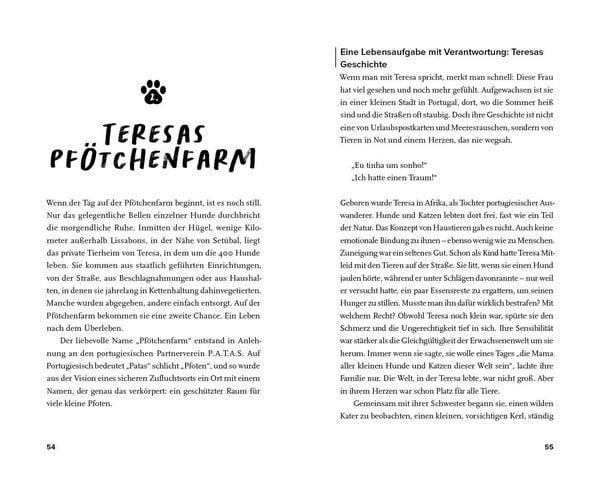 Produktbild: Streuner - von der Stra&szlig;e direkt ins Herz