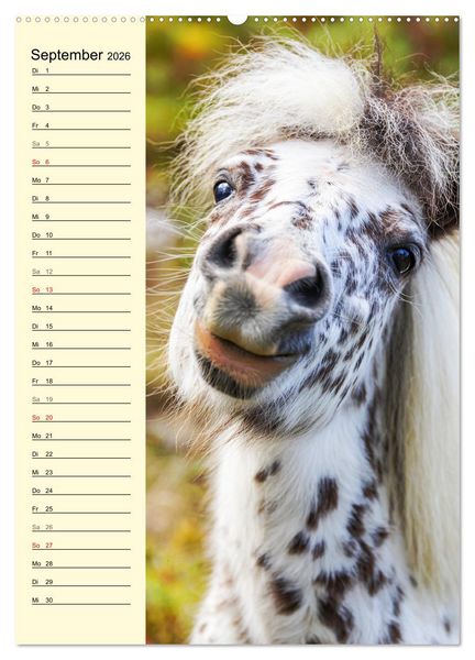 Produktbild: Zauber der Ponys. Kleine Pferde in der Natur (Wandkalender 2026 DIN A2 hoch), CALVENDO Monatskalender