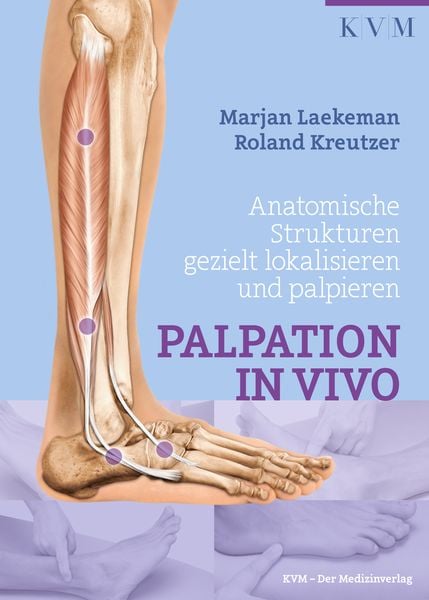 Produktbild: Palpation in Vivo