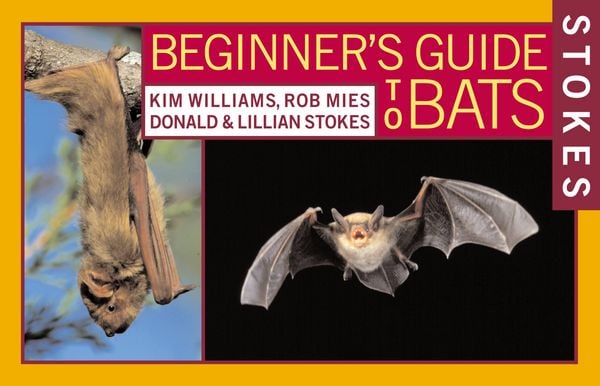 Produktbild: Stokes Beginner's Guide to Bats