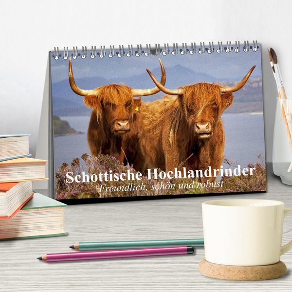 Produktbild: Schottische Hochlandrinder. Freundlich, sch&ouml;n und robust (Tischkalender 2026 DIN A5 quer), CALVENDO Monatskalender