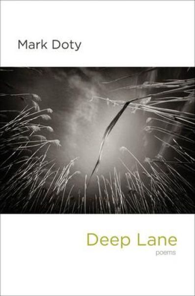 Produktbild: Deep Lane