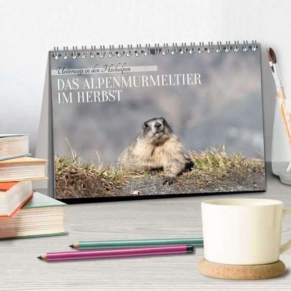 Produktbild: Unterwegs in den Hochalpen - Das Alpenmurmeltier im Herbst (Tischkalender 2026 DIN A5 quer), CALVENDO Monatskalender