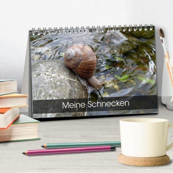 Produktbild: Meine Schnecken (Tischkalender 2026 DIN A5 quer), CALVENDO Monatskalender