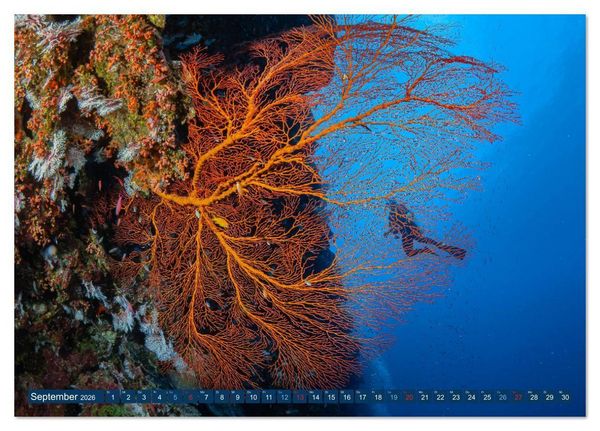 Produktbild: Unterwasserwelt Christmas Island (Tischkalender 2026 DIN A5 quer), CALVENDO Monatskalender