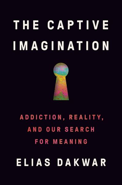 Produktbild: The Captive Imagination