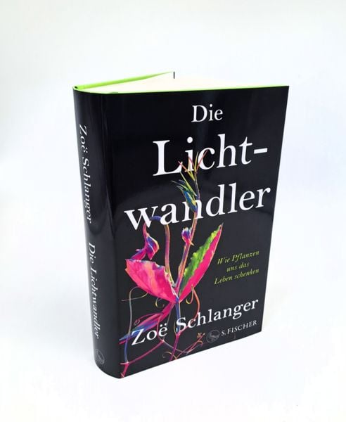 Produktbild: Die Lichtwandler