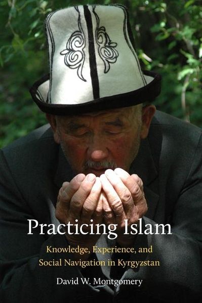 Produktbild: Practicing Islam