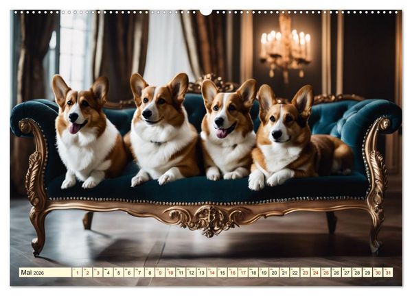 Produktbild: Welsh Corgi Pembroke (hochwertiger Premium Wandkalender 2026 DIN A2 quer), Kunstdruck in Hochglanz