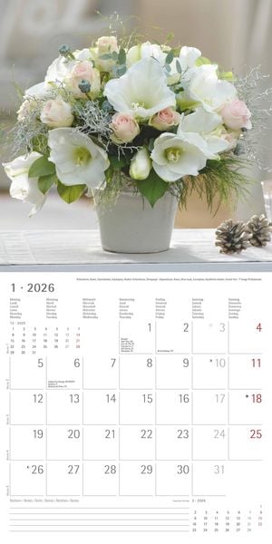 Produktbild: Alpha Edition - Blumenträume 2026 Broschürenkalender, 30x30cm, Wandkalender mit Platz für Notizen und Termine, hochwertige Bildmotive, Mondphasen, Mon