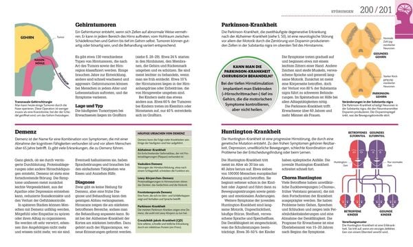 Produktbild: #dkinfografik. Das menschliche Gehirn und wie es funktioniert