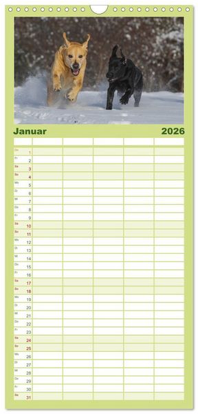 Produktbild: Familienplaner 2026 - Labrador Retriever 2026 mit 5 Spalten (Wandkalender, 21 x 45 cm) CALVENDO