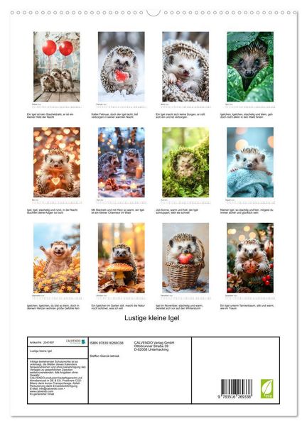 Produktbild: Lustige kleine Igel (hochwertiger Premium Wandkalender 2026 DIN A2 hoch), Kunstdruck in Hochglanz