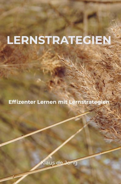 Produktbild: Lernstrategien
