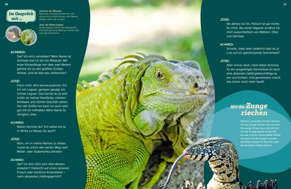 Produktbild: WAS IST WAS Echsen. Kleine Drachen hautnah