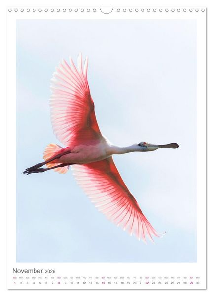 Produktbild: Pantanal Wildlife Photography (Wall Calendar 2026 DIN A3 portrait), CALVENDO 12 Month Wall Calendar