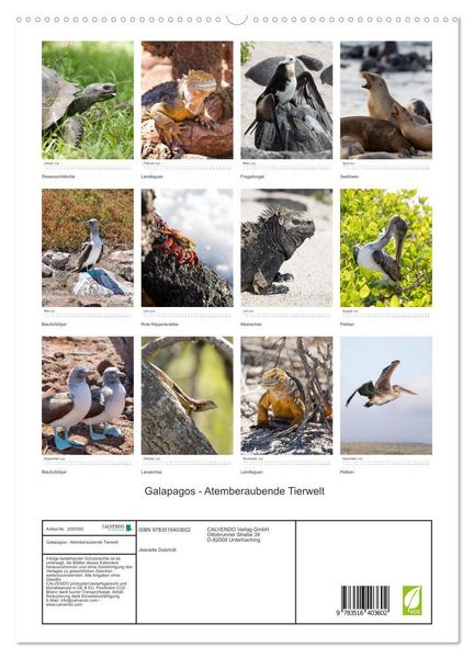Produktbild: Galapagos - Atemberaubende Tierwelt (hochwertiger Premium Wandkalender 2026 DIN A2 hoch), Kunstdruck in Hochglanz