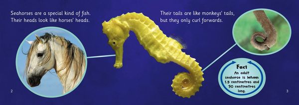 Produktbild: Seahorses