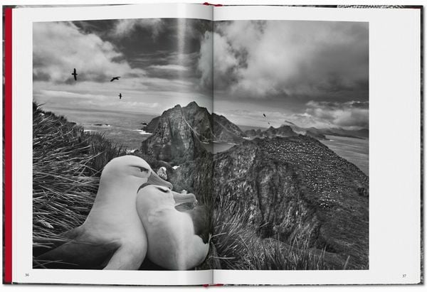 Produktbild: Sebasti&atilde;o Salgado