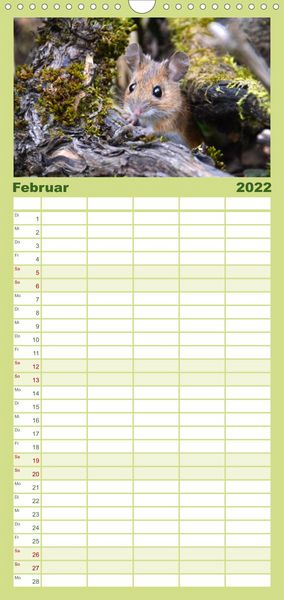 Produktbild: Familienplaner ... hier kommt die Maus ... (Wandkalender 2022 , 21 cm x 45 cm, hoch)