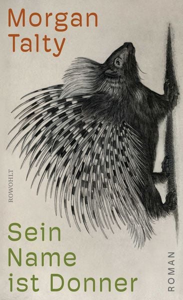 Sein Name ist Donner, Gebundene Ausgabe von Morgan Talty, Rowohlt, 9783498007034