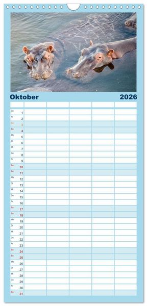 Produktbild: Familienplaner 2026 - Nilpferde, Kolosse in Afrika mit 5 Spalten (Wandkalender, 21 x 45 cm) CALVENDO