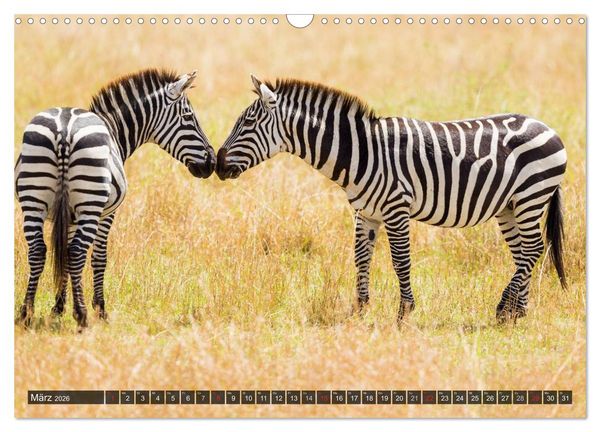 Produktbild: Kenia 2026 (Wandkalender 2026 DIN A3 quer), CALVENDO Monatskalender